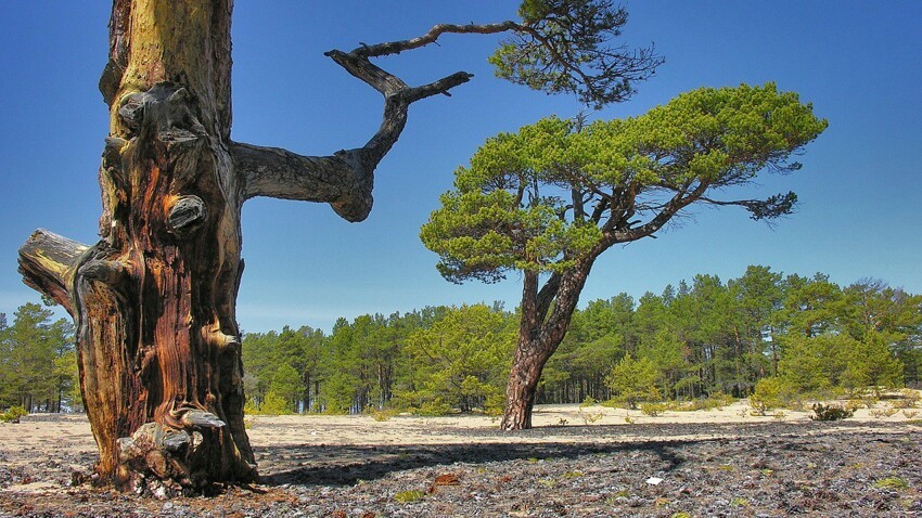 10 национальных парков и заповедников России, которые обязательно нужно посетить 10 национальных парков и заповедников России, которые обязательно нужно посетить