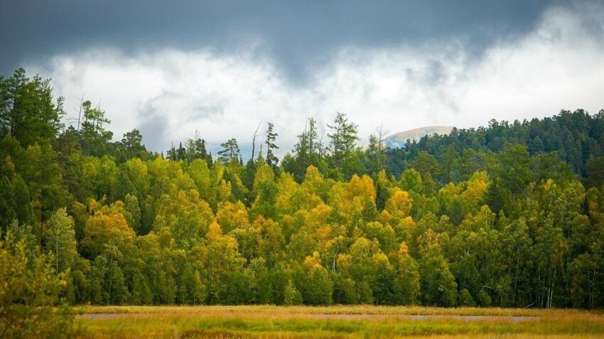 Забайкальский национальный парк. Забайкальский национальный парк.