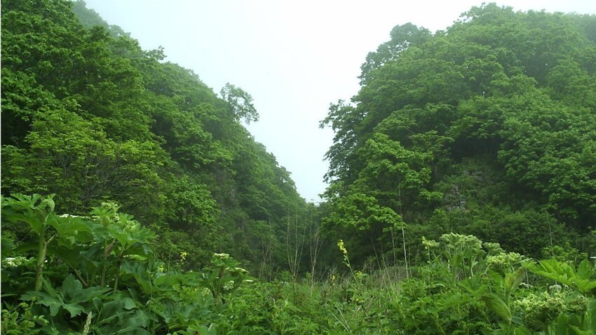 10 национальных парков и заповедников России, которые обязательно нужно посетить