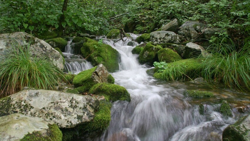 10 национальных парков и заповедников России, которые обязательно нужно посетить