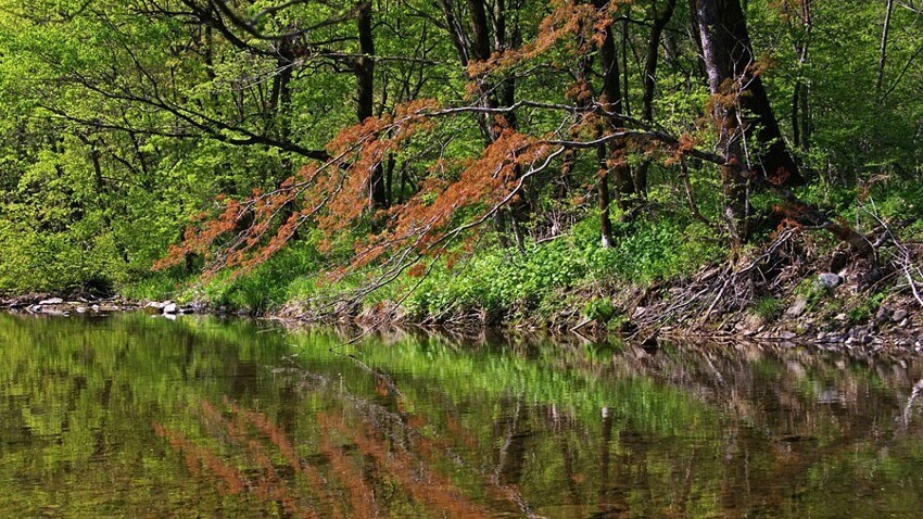 10 национальных парков и заповедников России, которые обязательно нужно посетить