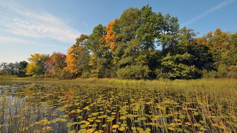 Национальный парк «Смоленское Поозерье.