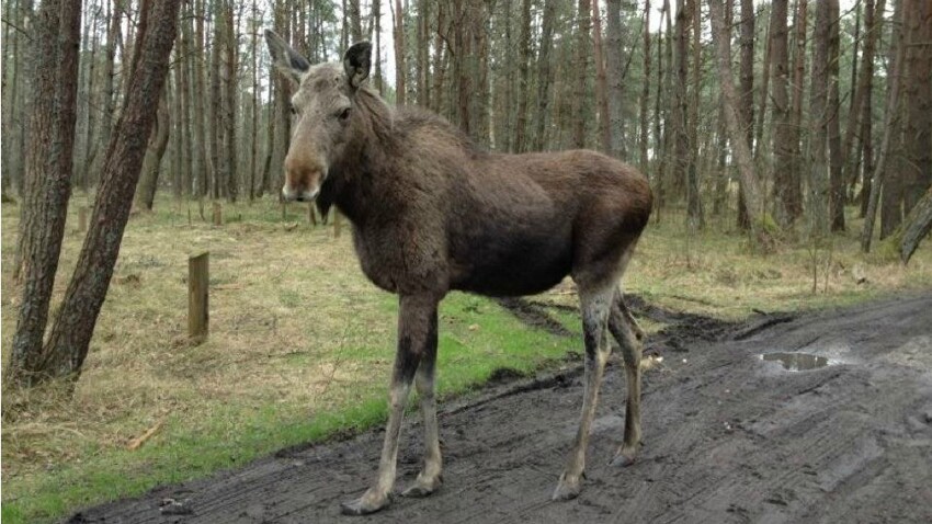 10 национальных парков и заповедников России, которые обязательно нужно посетить