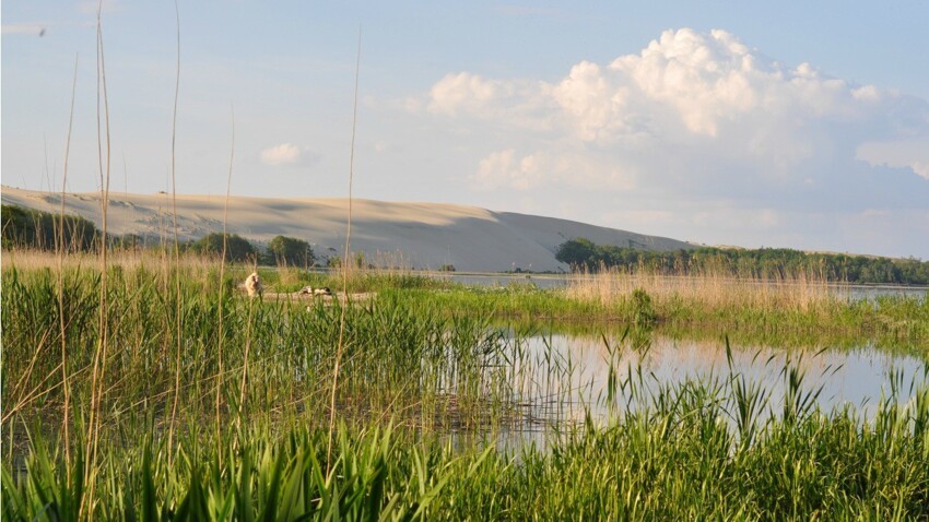 10 национальных парков и заповедников России, которые обязательно нужно посетить