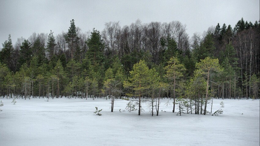 10 национальных парков и заповедников России, которые обязательно нужно посетить