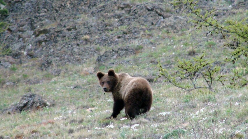 10 национальных парков и заповедников России, которые обязательно нужно посетить