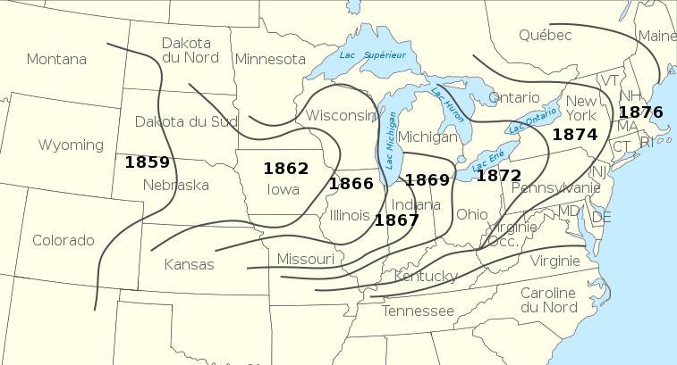 Колорадский жук