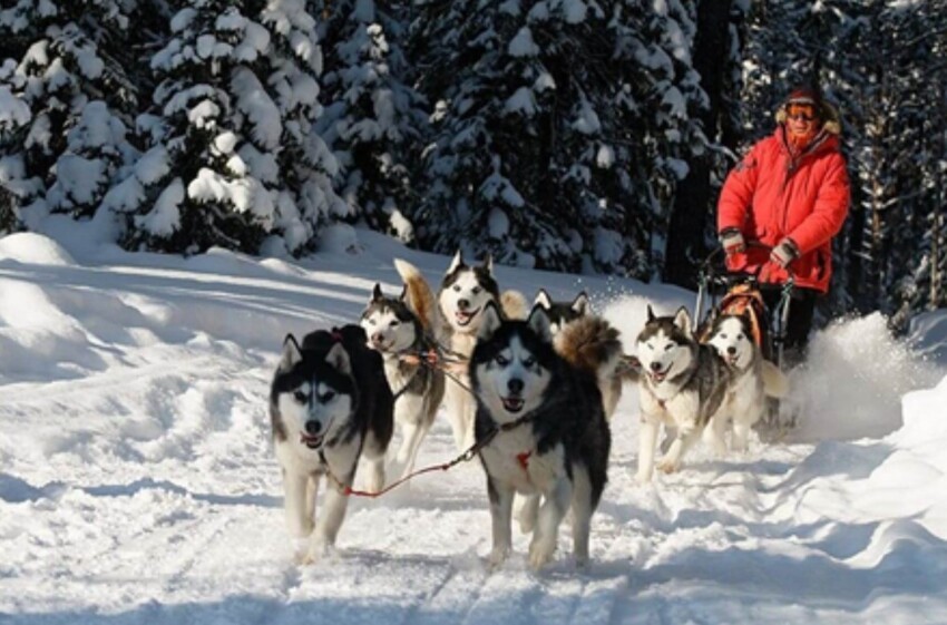 5-е тысячелетие до н.э. 5-е тысячелетие до н.э.