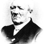 Моллинезия аквариумная рыбка ее содержание и кормление