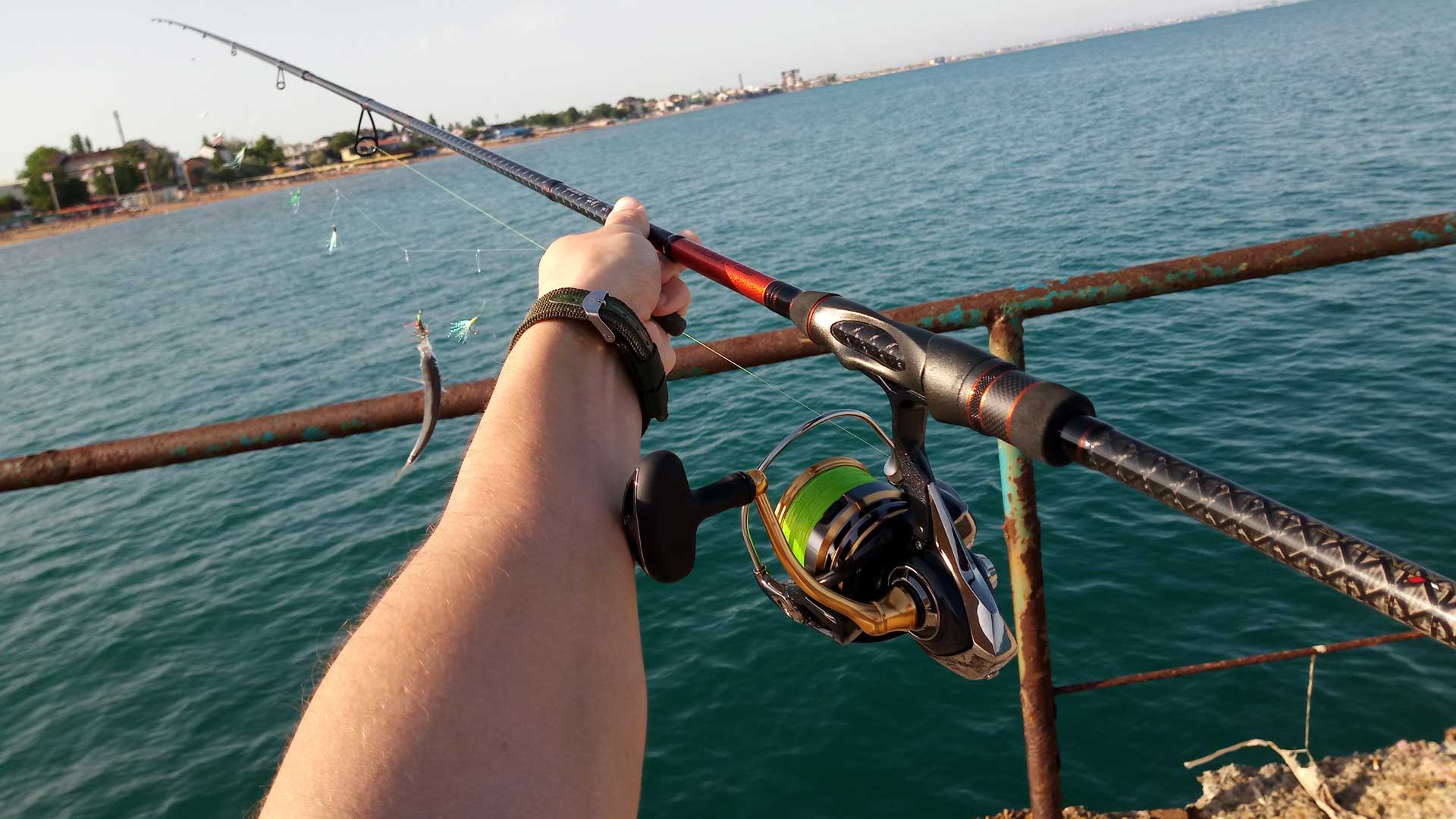 Ставрида на тирана