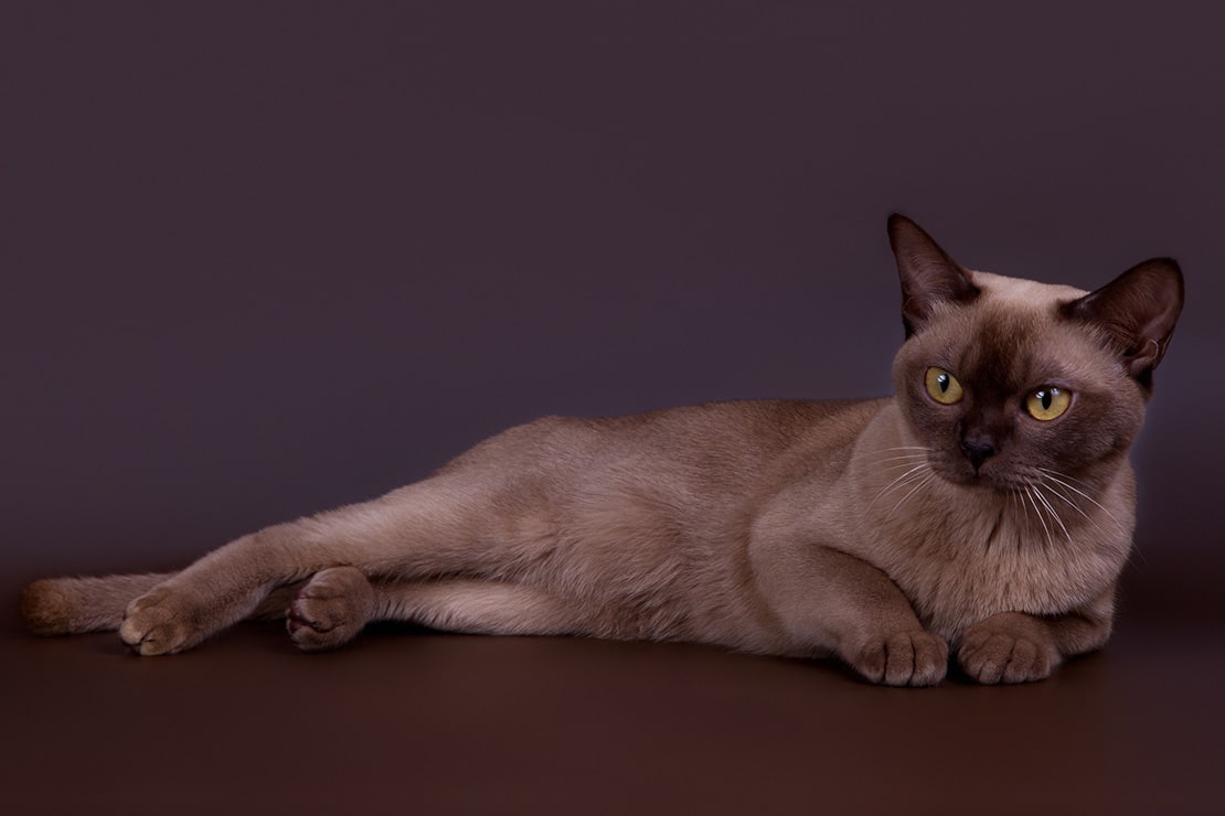 Фотографии-1 Фотографии-1