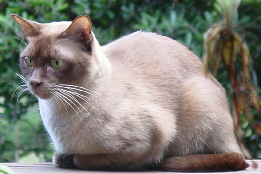 Фотографии-2 Фотографии-2