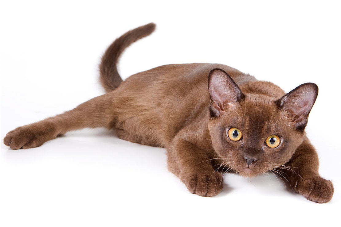 Фотографии-3 Фотографии-3