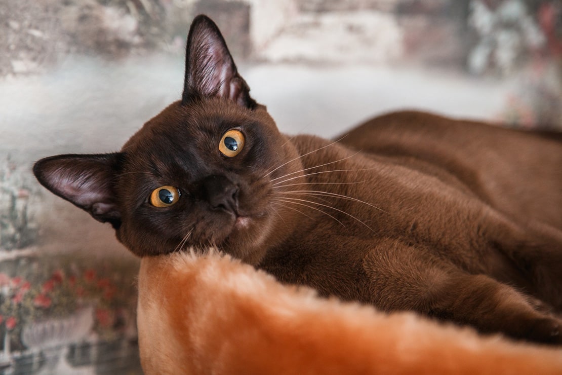 Фотографии-4 Фотографии-4