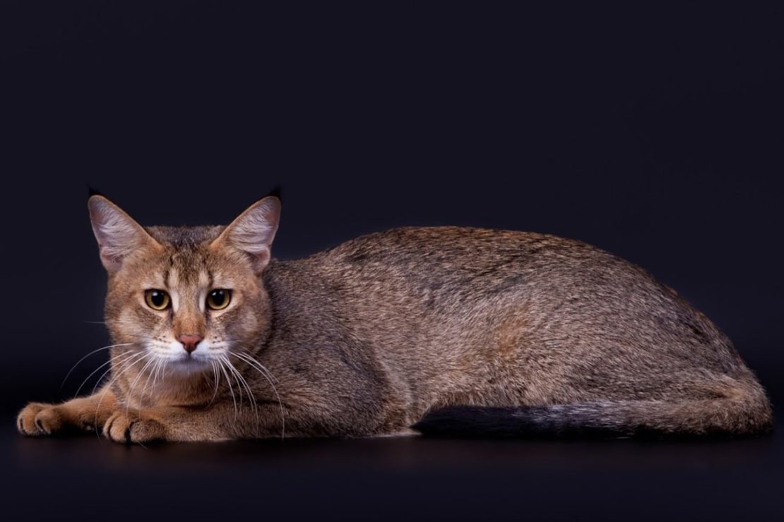 Фотографии-1 Фотографии-1