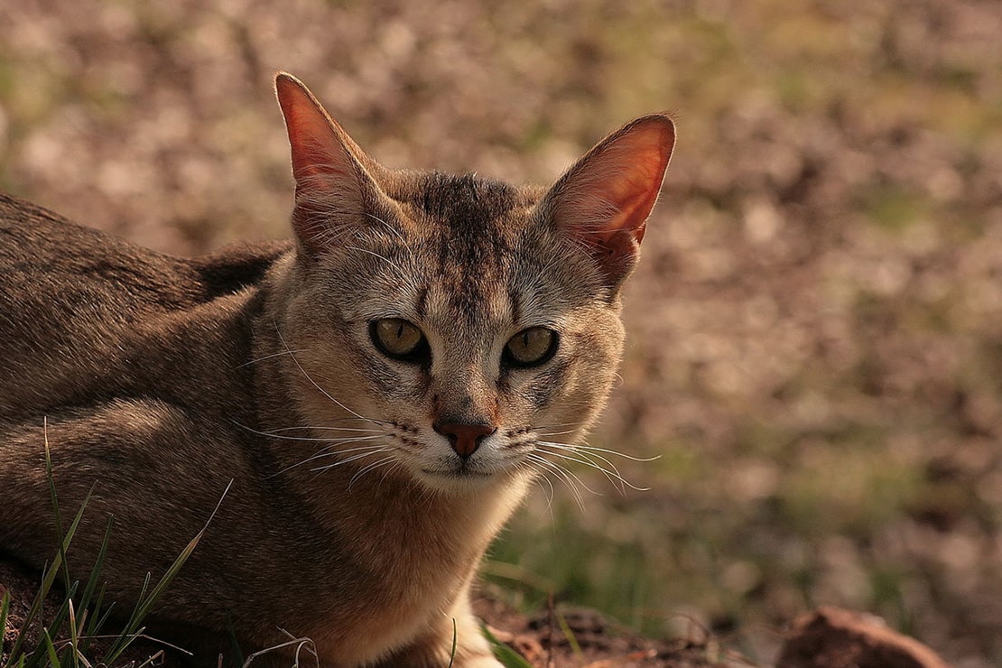 Фотографии-2 Фотографии-2