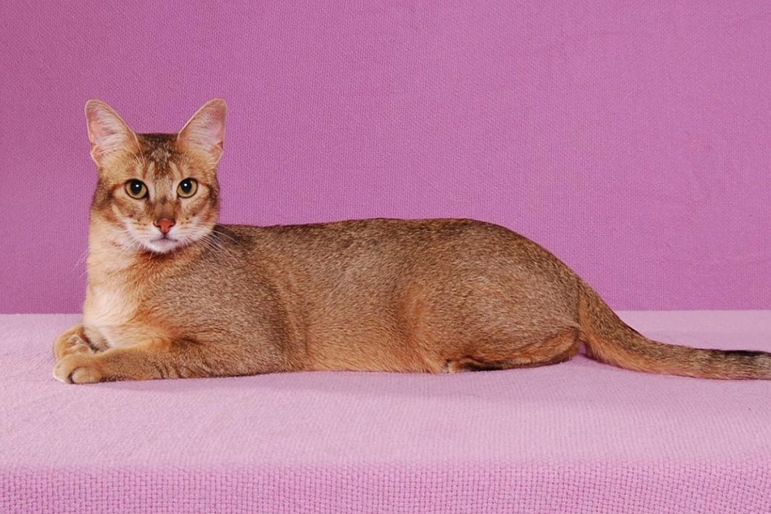 Фотографии-3 Фотографии-3