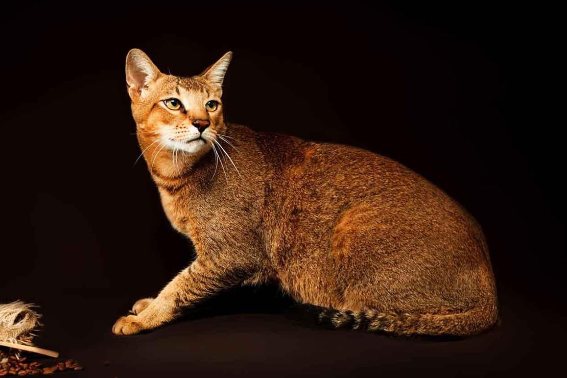 Фотографии-4 Фотографии-4