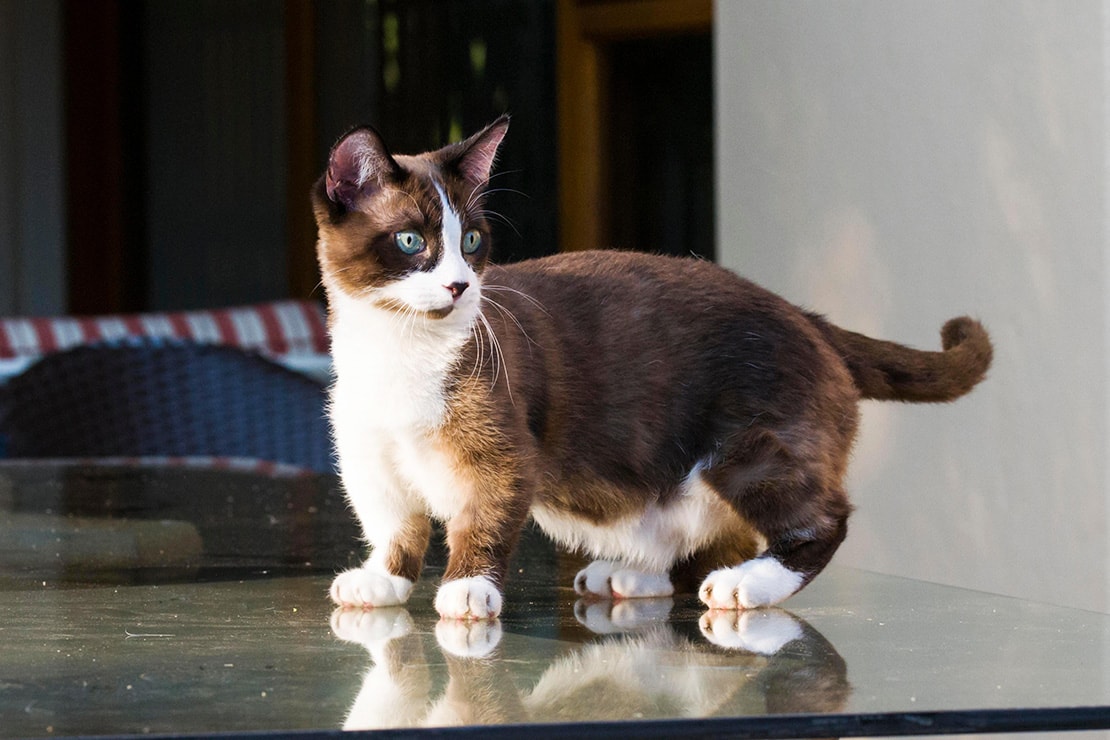 Фотографии-1