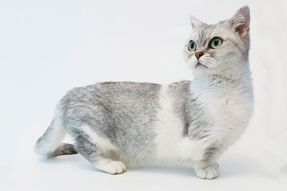 Фотографии-2