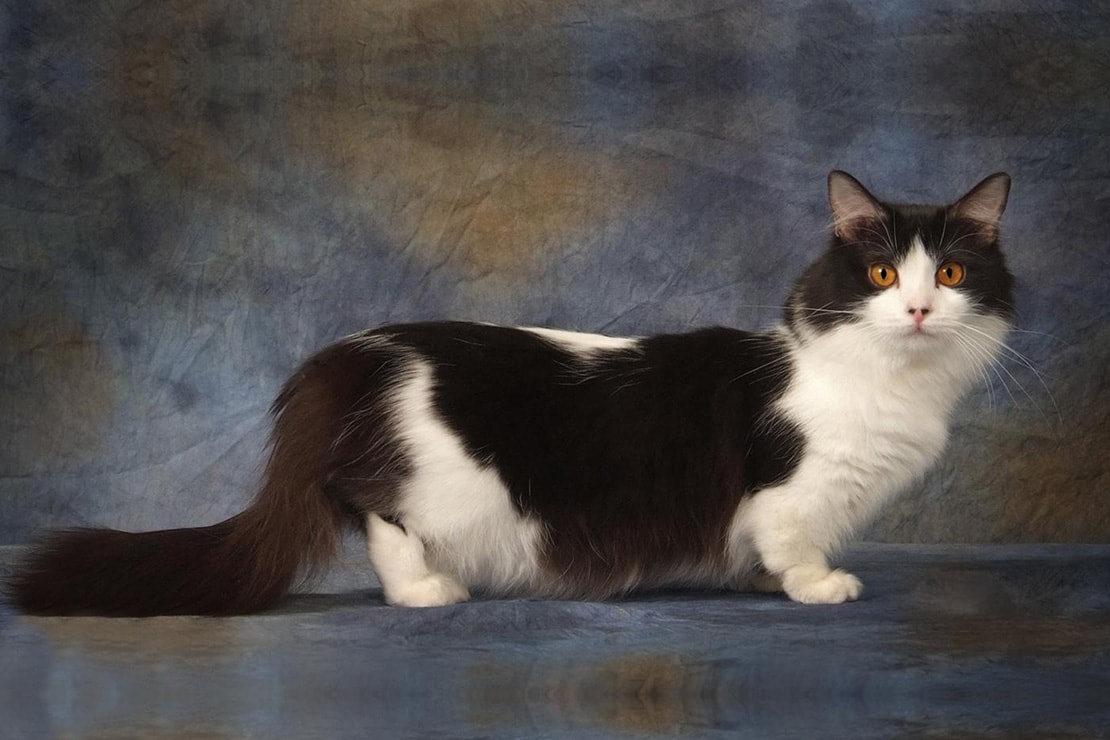 Фотографии-3