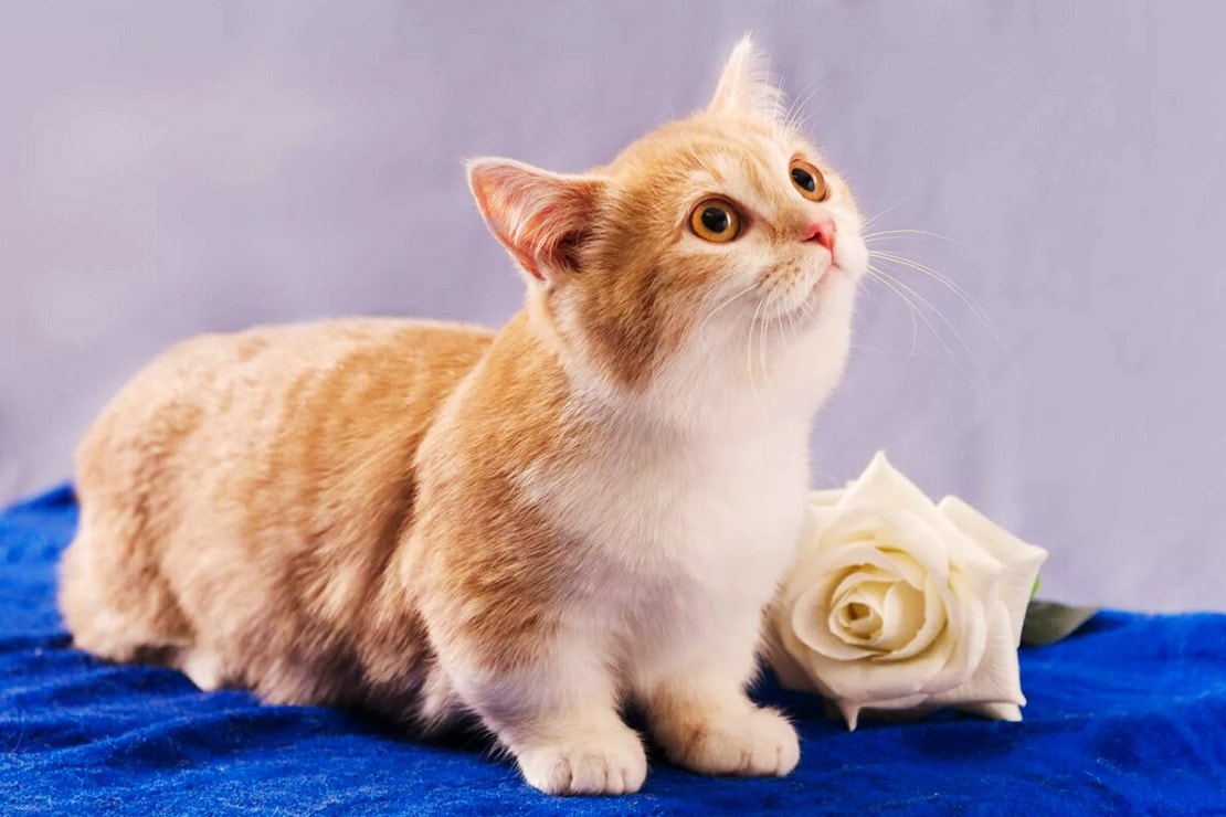 Фотографии-4