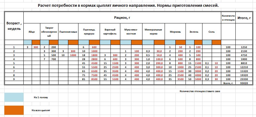 О содержании кур для новичков – 10 шагов успешного выращивания