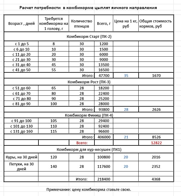 О содержании кур для новичков – 10 шагов успешного выращивания