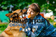 Как стать кинологом