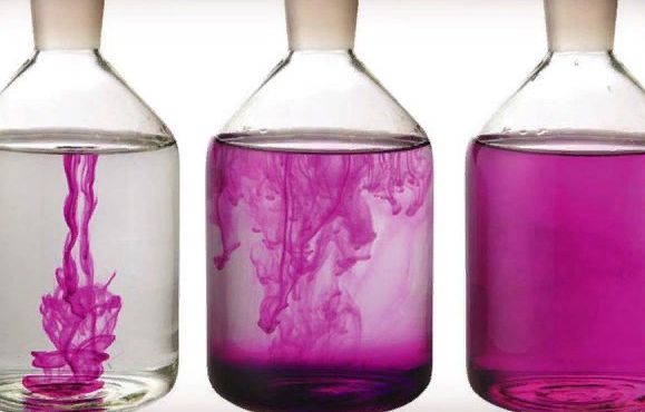 Плимут Рок Куры 12