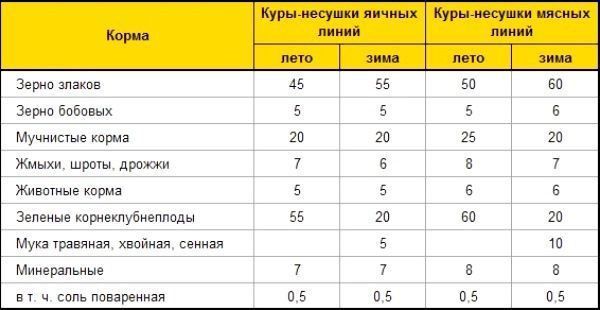 Плимут Рок Куры 10