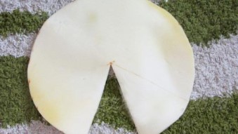 как сделать чашку из пенопласта