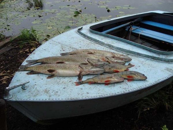 Улов на носу лодки