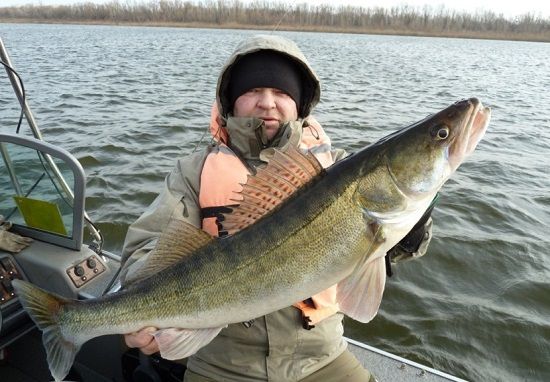 Рыбалка на судака