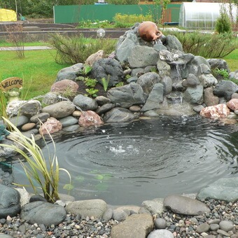 Птицы, полезные для сада: как привлечь птиц на садовый участок и каких насекомых едят птицы