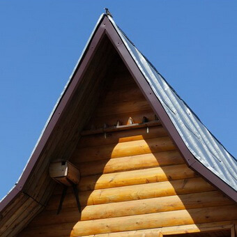 Птицы, полезные для сада: как привлечь птиц на садовый участок и каких насекомых едят птицы