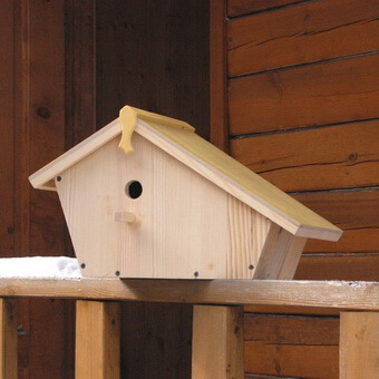 Птицы, полезные для сада: как привлечь птиц на садовый участок и каких насекомых едят птицы