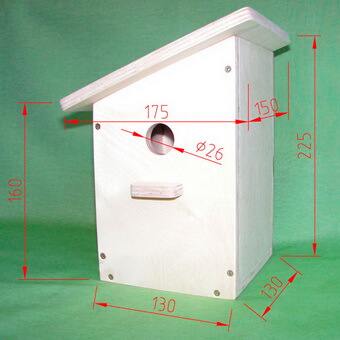 Птицы, полезные для сада: как привлечь птиц на садовый участок и каких насекомых едят птицы