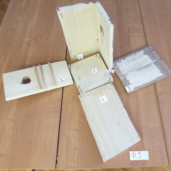 Птицы, полезные для сада: как привлечь птиц на садовый участок и каких насекомых едят птицы