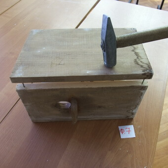 Птицы, полезные для сада: как привлечь птиц на садовый участок и каких насекомых едят птицы