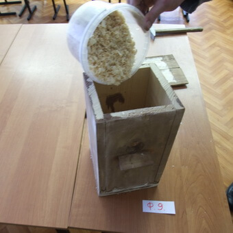 Птицы, полезные для сада: как привлечь птиц на садовый участок и каких насекомых едят птицы