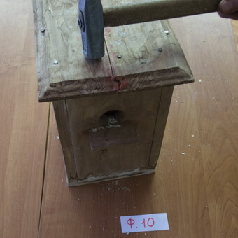 Птицы, полезные для сада: как привлечь птиц на садовый участок и каких насекомых едят птицы