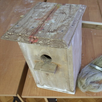 Птицы, полезные для сада: как привлечь птиц на садовый участок и каких насекомых едят птицы