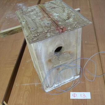 Птицы, полезные для сада: как привлечь птиц на садовый участок и каких насекомых едят птицы