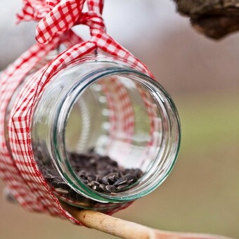 Птицы, полезные для сада: как привлечь птиц на садовый участок и каких насекомых едят птицы