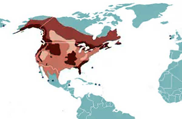 Карта распространения