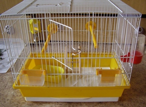 В какой клетке лучше держать зябликов дома Особенности выбора клетки для содержания амадин в домашних условиях