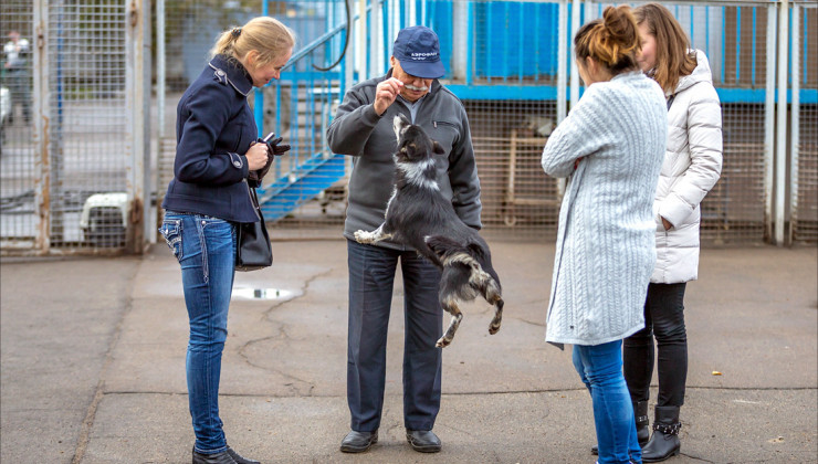 Клим Тимофеевич Сулимов и шалайка