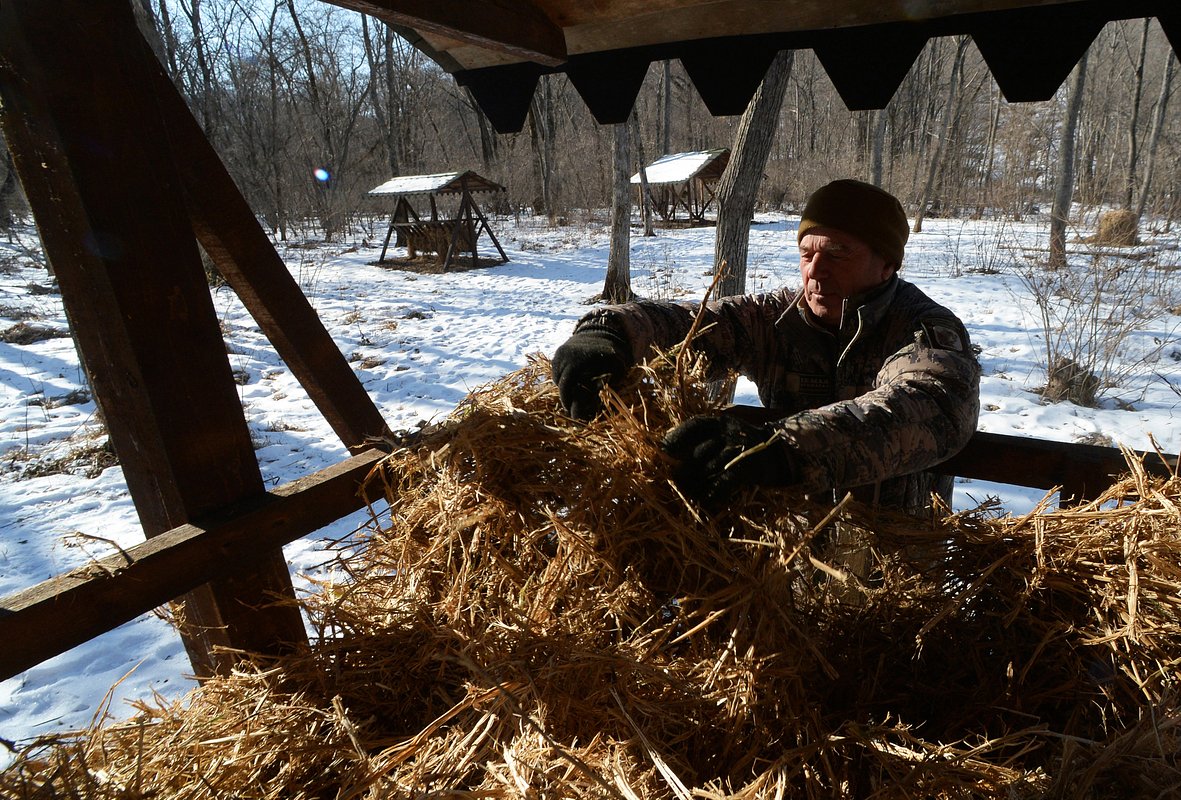 Старший инспектор Национального парка «Земля леопарда» загружает соевую солому для кормления копытных
