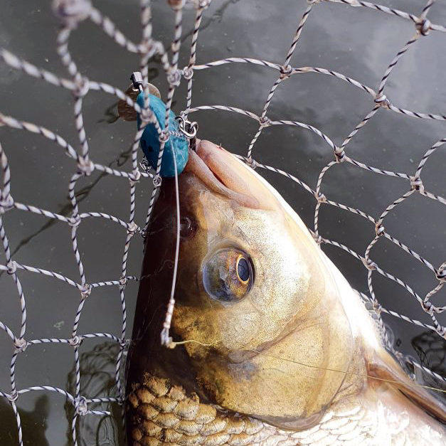 Язь клюнул на самодельный тейл-спиннер